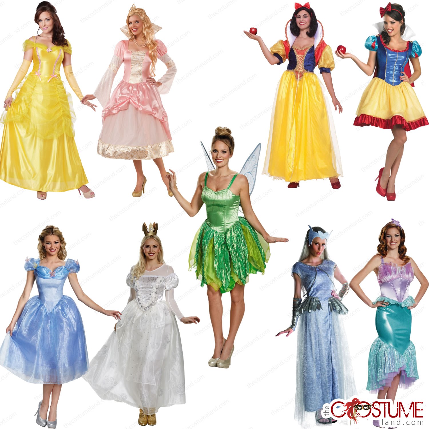 fairy princess costume adults